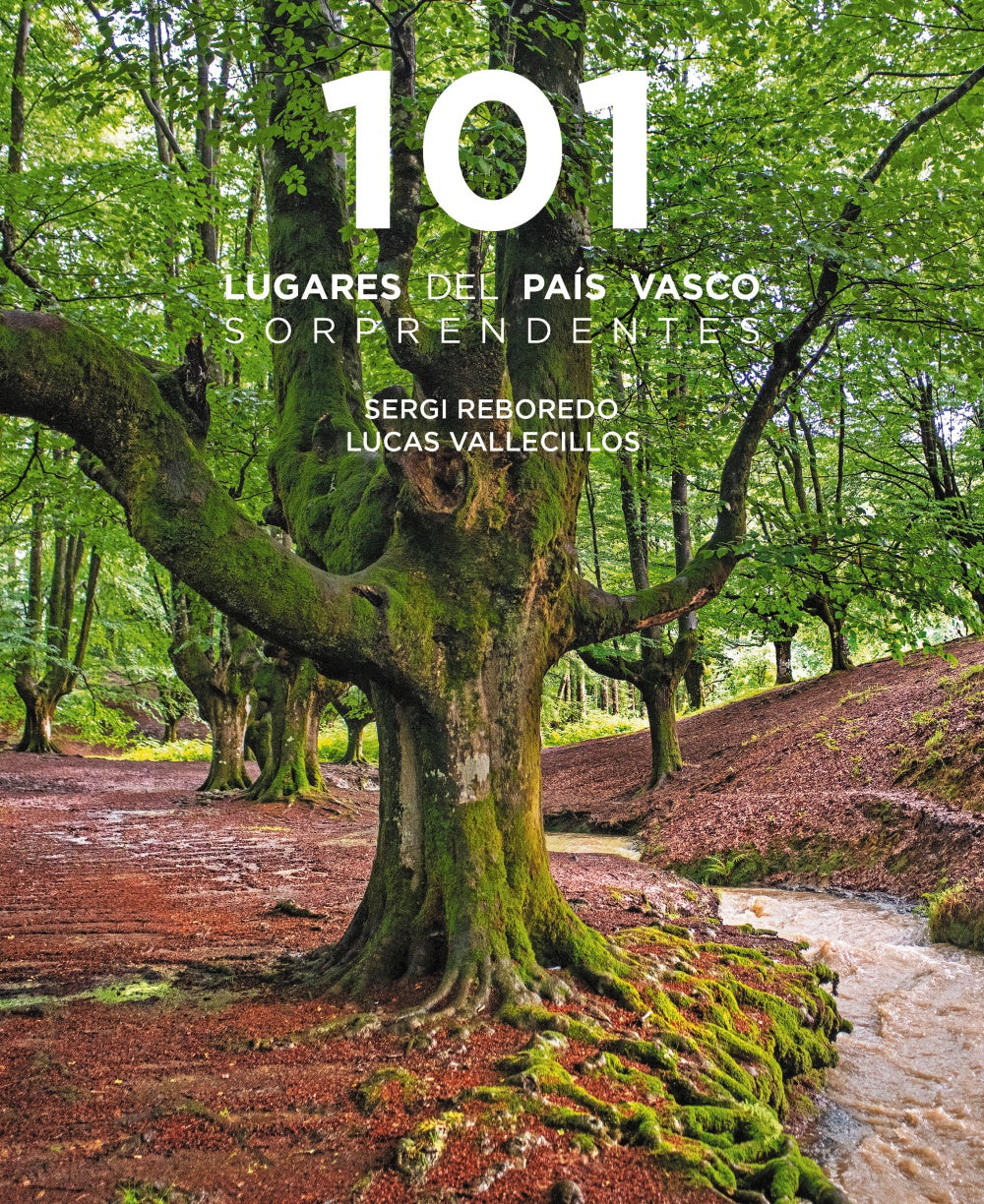 101 Destinos Del País Vasco Sorprendentes